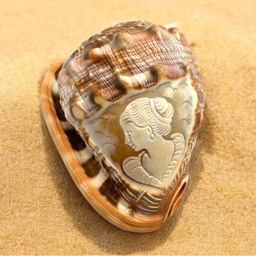 BEAUTIFUL Vintage Italian LARGE Hand Carved Cameo Conch Shell MINT CONDITION